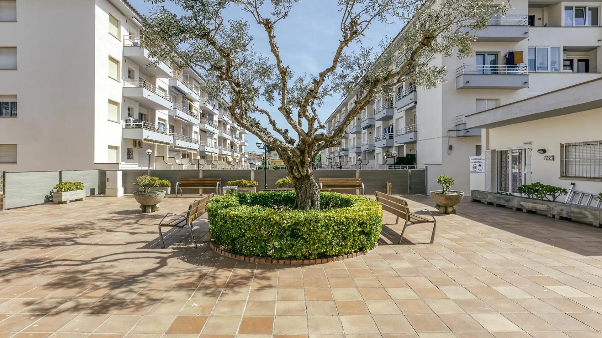 Omega Estartit Apartment L'Estartit